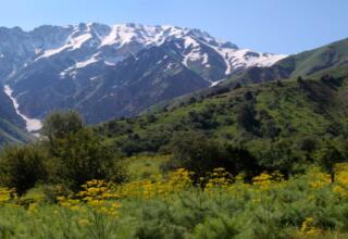 Weekend Uzbekistan tour from UAE