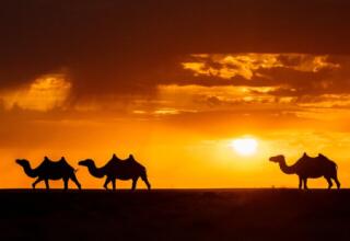 5-stan tour en Asia Central 7: 35 días