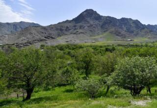 Tour del villaggio di Nurata