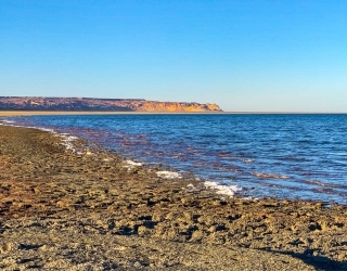 Aral Sea Tour